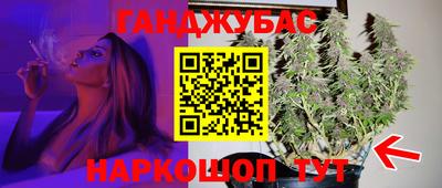 a pvp Кингисепп