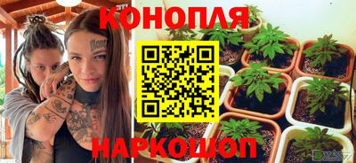 a pvp Кингисепп