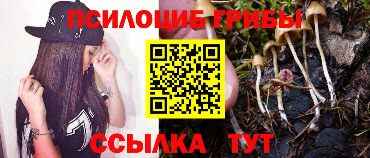Псилоцибиновые грибы ЛСД  Псилоцибиновые грибы прущие грибы  Кубинка  Вход с VPN 