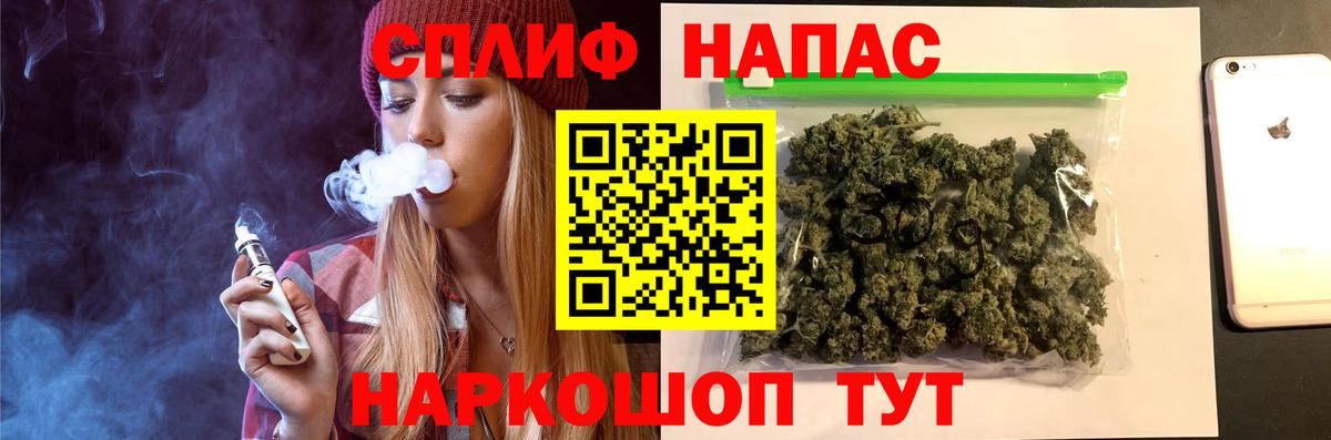 Каннабис сатива Кубинка